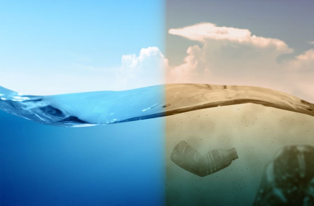 forskjellen på vektor og raster